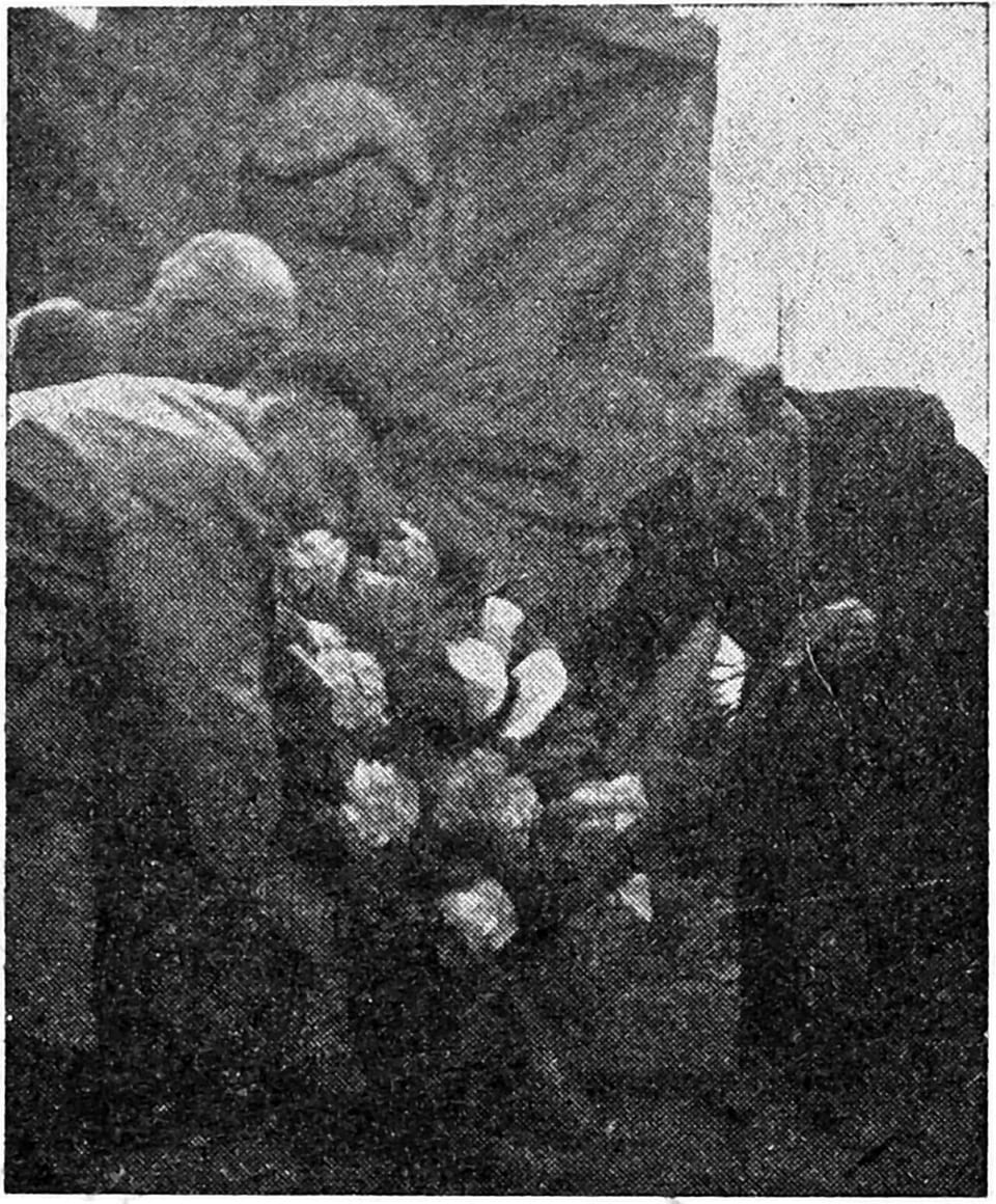 Esperantyści na grobie Zamenhofa, 1957