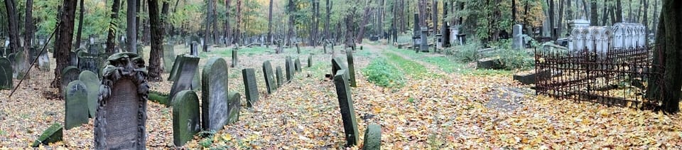 Widok ogólny cmentarza, 2012